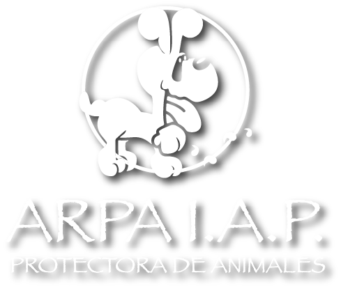 Alianza arpa I. A. P. protectora de animales